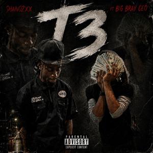 T3 (feat. Big Bray CEO)