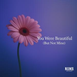 You Were Beautiful (But Not Mine)