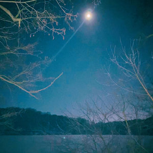 Лісова пісня (Intro)