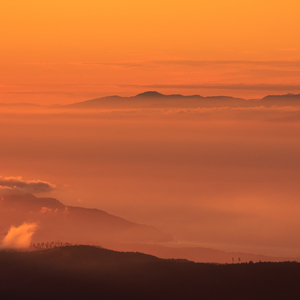 大年初一头一天