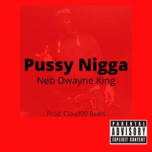 Pussy Nigga