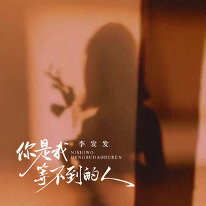 你是我等不到的人