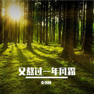 又熬过一年风霜 (高潮版)