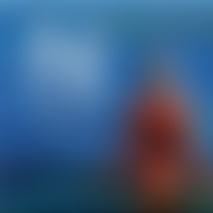 The Black Mountains (Soul Minority Mix)