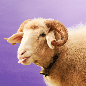 Männerchor und Frauechor (Versiun Rumantscha)