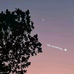 山楂树の恋1774282507417