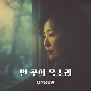 햇살이 말려준 마음