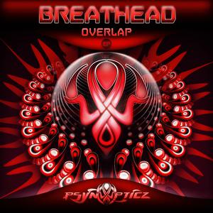 Overlap (Original Mix)
