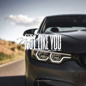 Not Like You