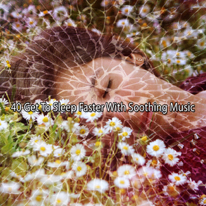 平静的夜晚休息