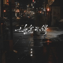 太多舍不得 (DJAh版)