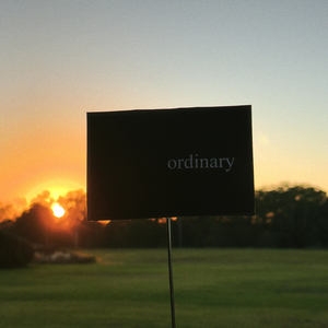 Ordinary
