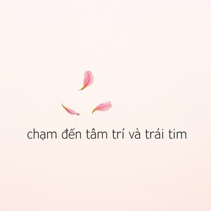 Nơi ánh mắt xưa ngập tràn