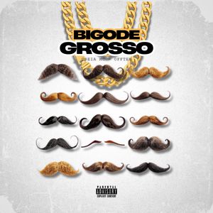 Bigode Grosso