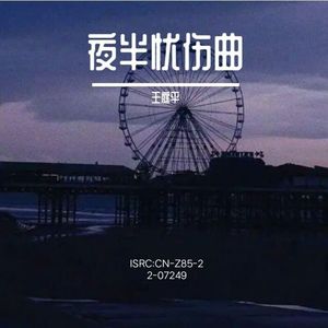 夜半忧伤曲