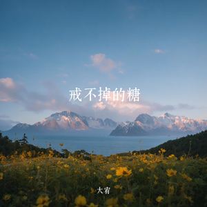 戒不掉的糖