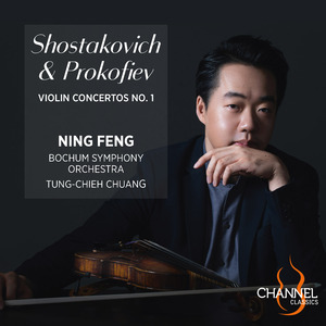 Violin Concerto No. 1 in D Major, Op. 19: III. Moderato
