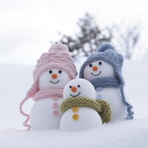 08. 芬兰人 FINLANDIA8787