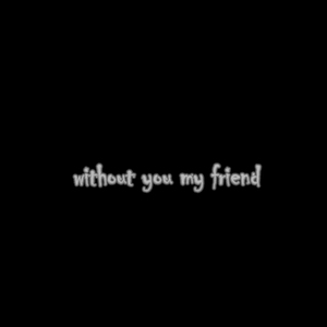Without You My Friend