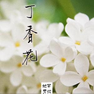 丁香花
