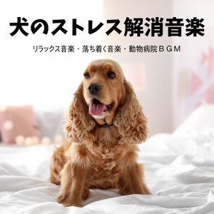 穏やかな室内環境