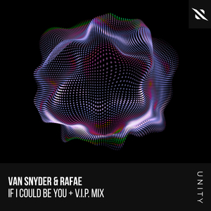 If I Could Be You (Van Snyder V.I.P. Mix)
