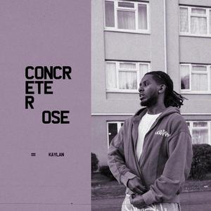 Concrete Rose