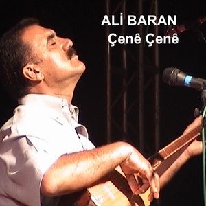 Seyrani (30 Yıl Sürümü)