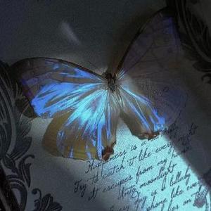 怪我的爱太敏感