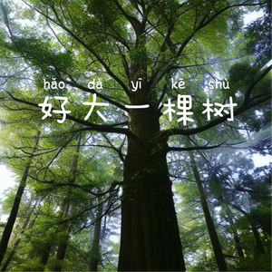 好大一棵树