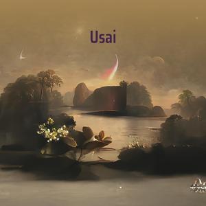Usai