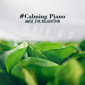Relaxing Piano Melodies