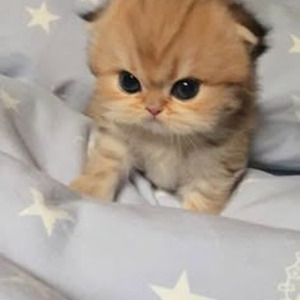 Me And Your Mama (Sped Up)