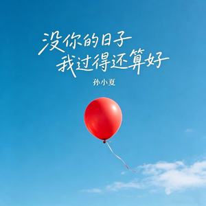 没你的日子我过得还算好