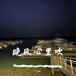 晚风心里吹 (Dragon&Teejay Bootleg）