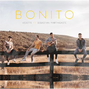 Bonito (feat. Sebastian Martingaste)