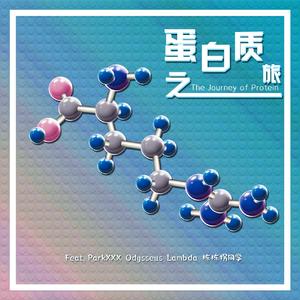 蛋白质之旅