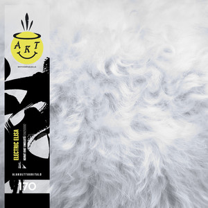 Koirat ovat enkeleitä