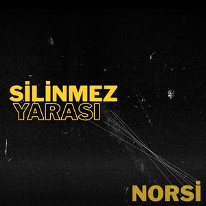 Silinmez Yarası