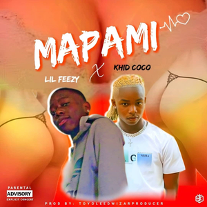 Mapami