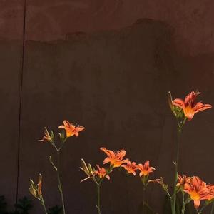 翻唱-只是不够爱