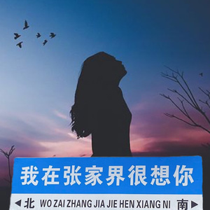 我在张家界很想你