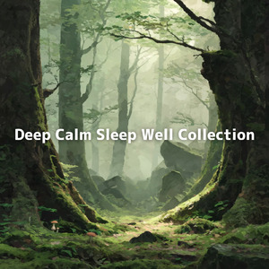 ねむねむドリームタイム - まったり ゆるふわ 作業用 睡眠 寝落ち用BGM 睡眠 寝落ち用BGM