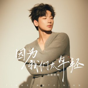 因为我们太年轻 (DJ沈浪电吉他版)