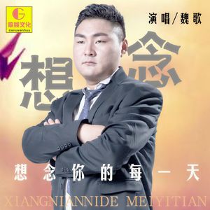 想念你的每一天 (DJ小魏版)