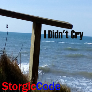 I Didn't Cry