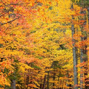 永恒此刻的消逝