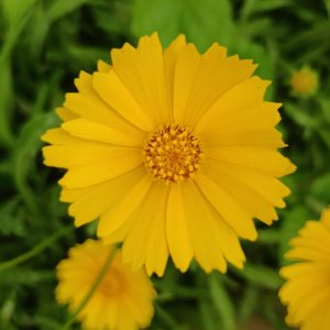 男孩的半个盛夏