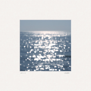 내가 바다에 던져버린 것은