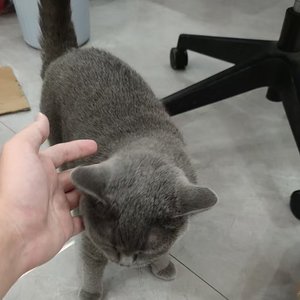 冬雪皑皑
